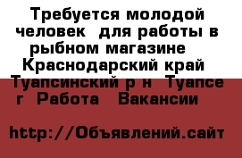 Требуется молодой человек, для работы в рыбном магазине. - Краснодарский край, Туапсинский р-н, Туапсе г. Работа » Вакансии   